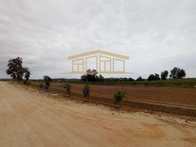 Albufeira Faro 96315726