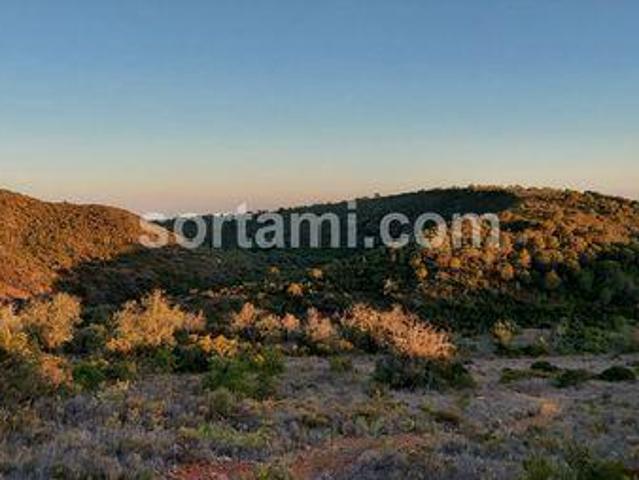 Albufeira Faro 102276661