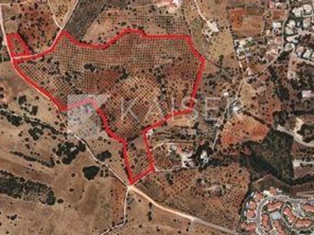 Albufeira Faro 104372452