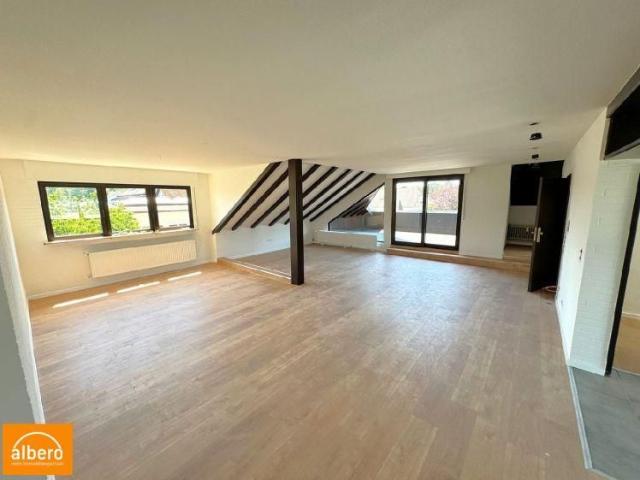 albero: saniert mit viel Platz