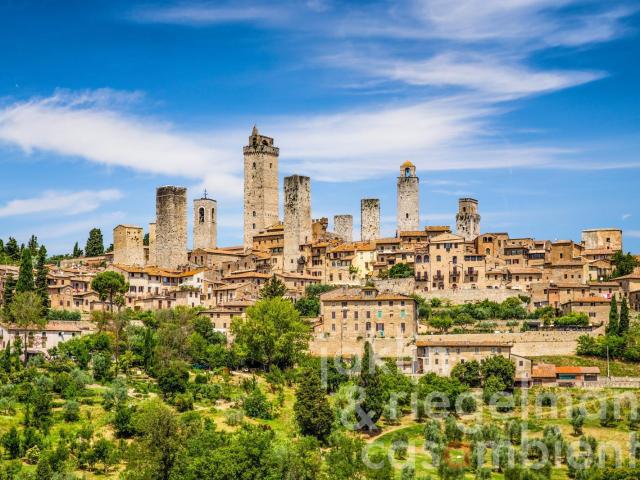 Albergo con vista su San Gimignano 1000m² San Gimignano