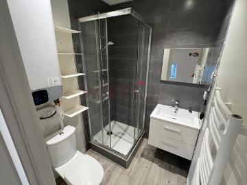ALBIGNY SUR SAONE PLEIN CENTRE Studio de 25m², Albigny sur saone