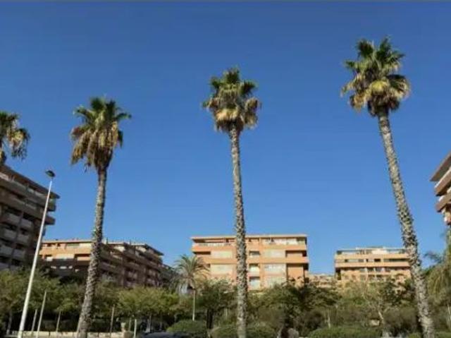 Alboraya