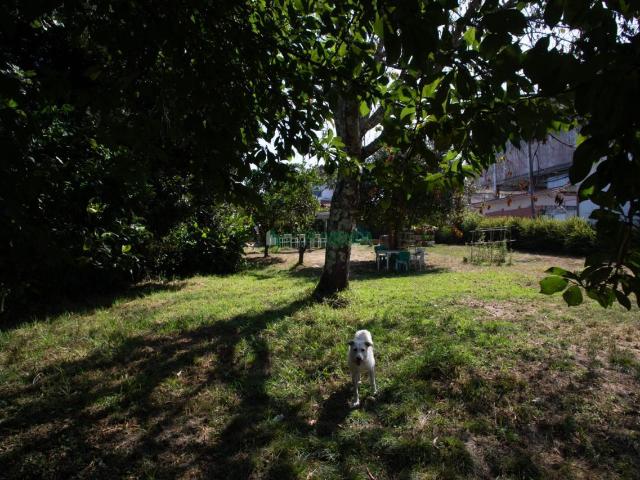 Alcabre CASA CON FINCA