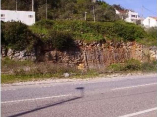Alcanena Alcanena 90181904