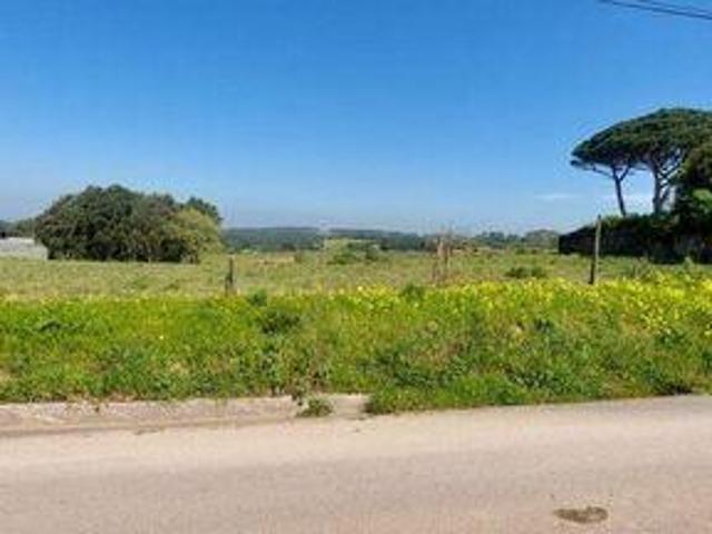 Alcobaca Leiria 102558060