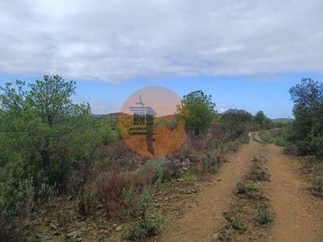 Alcoutim Faro 94609469