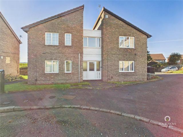Aldeburgh Avenue, Newcastle Upon Tyne. Studio to rent £450 pcm £104 pw