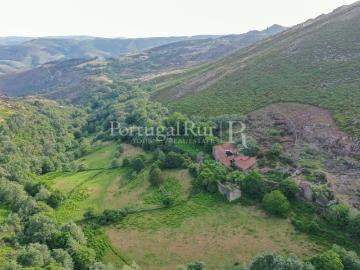 Nossa Senhora da Conceição, Vila Real