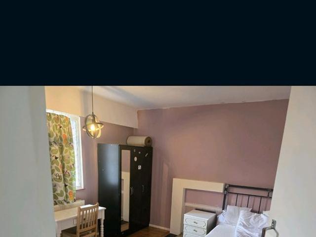Alex Has a House