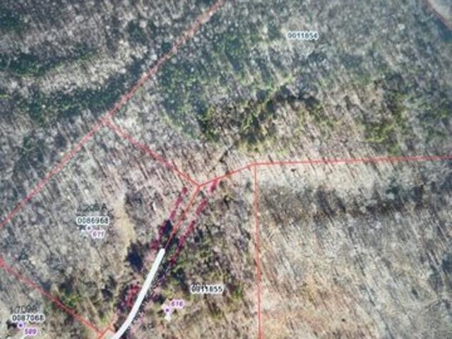Alex Watson Rd, Siler City, Plot For Sale