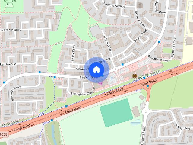 Alexandrea Way, Wallsend
