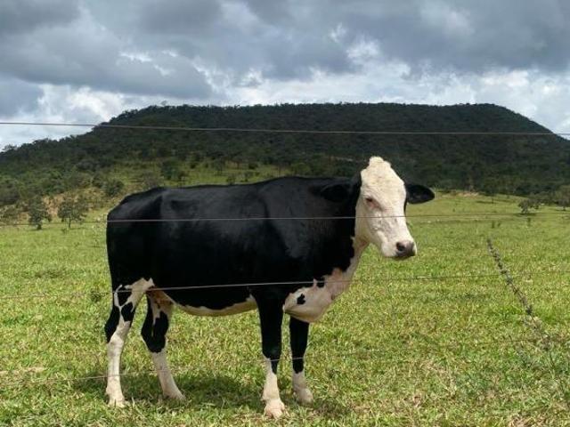 Alexânia/GO Próx. a Brasília e Goiânia 542ha Frente para BR 060