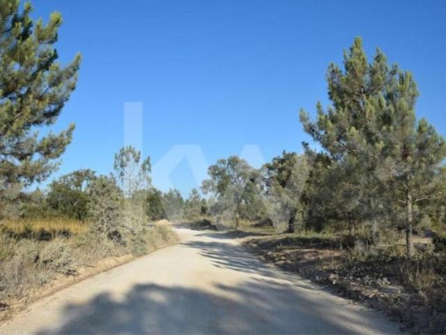 Alenquer Alenquer 104903619