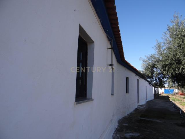 Alentejo ALBERNOA BEJA Uma quintinha que é um sonho, uma longa Casa, de 229 m2, Horta e 3 poços com muita água e 1750 m2 de terreno