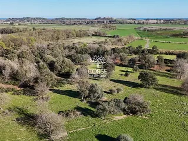 Aléria 20270 Achat / Vente maison 4 pièces t4 terrasse