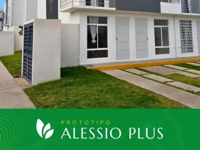 ALESSIO 3R