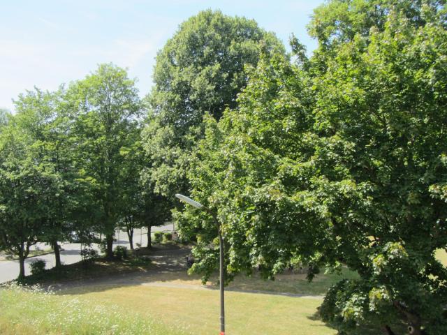 Alfter/Bonn * Barrierearme Komfortwohnung* Aufzug * EBK * S/W Loggia*Stellplatz* Hausmeisterservice