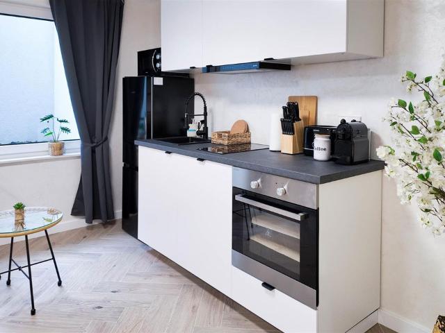 ALFA Stuttgart Microapartment 2 Beds Kitchen Bath Porsche & Bosch, Stuttgart Amsterdam Apartments for Rent