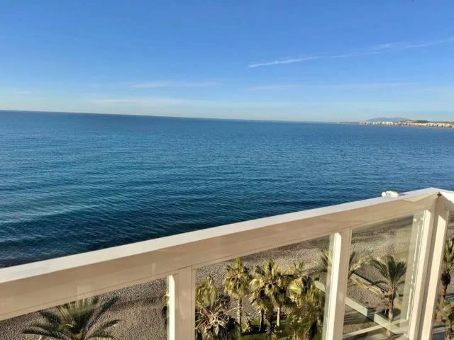 Algarrobo