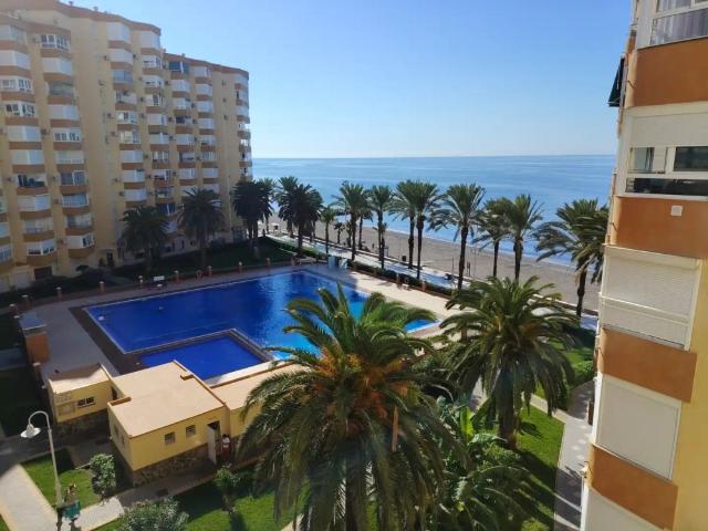 Algarrobo