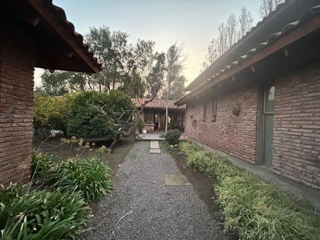Algarrobal chicureo poniente