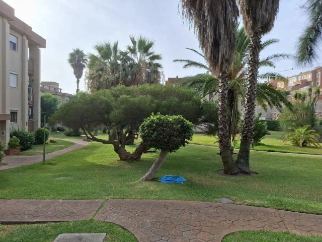 Algeciras