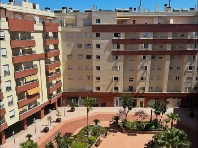 Algeciras