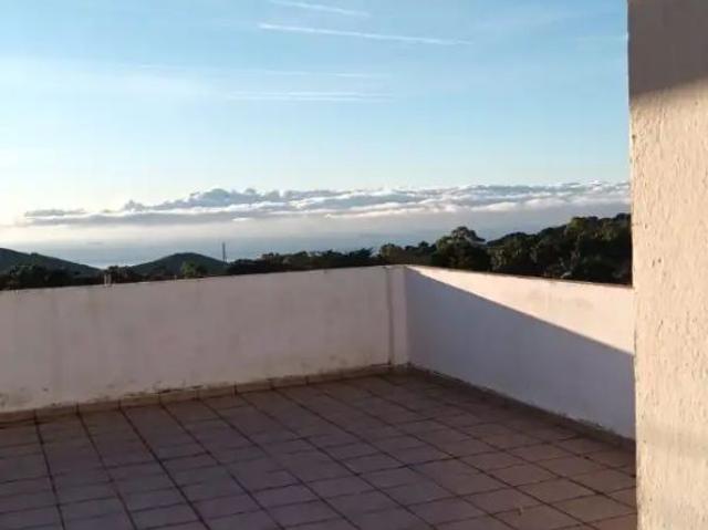 Algeciras