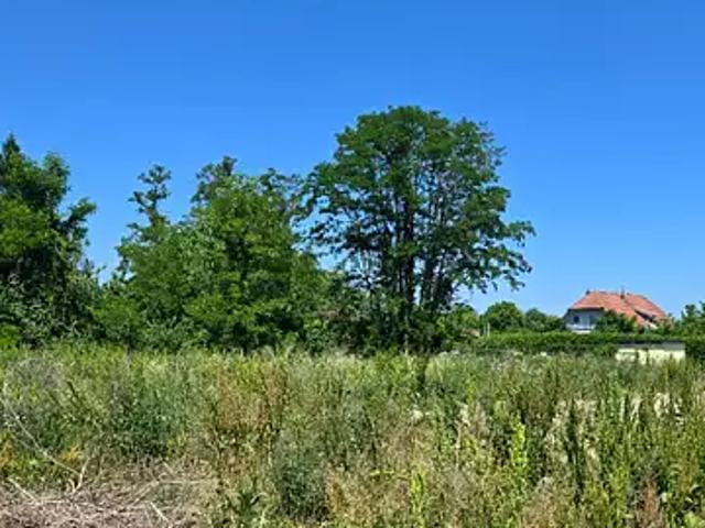 Algolsheim 68600 Programme neuf maison neuf à vendre 4 pièces