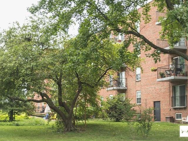Algonquin Apartments 3 Bedroom Apartment for Rent at 55 S Gore Ave, Webster Groves, MO 63119 Webster Groves