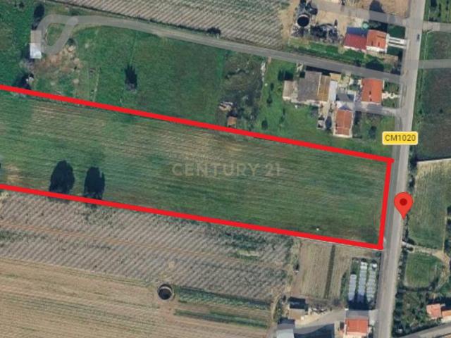 Alhos Vedros/ Barra Cheia Terreno Rústico para agricultura