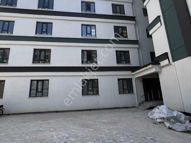 Ali Ulvî Kurucu Cd De