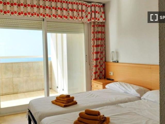 alicante, Valencian Community 03502