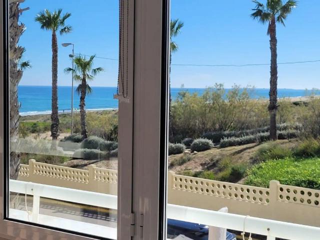 Alicante / Alacant