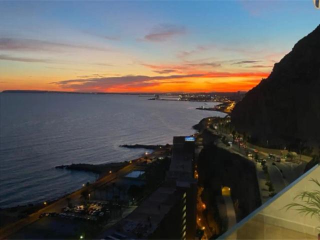 Alicante / Alacant