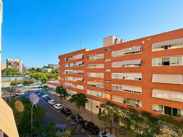 Alicante / Alacant