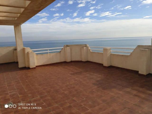 Alicante / Alacant