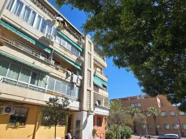 Alicante / Alacant