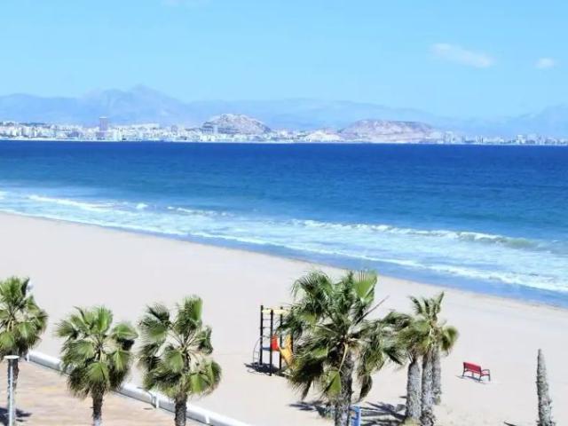 Alicante / Alacant