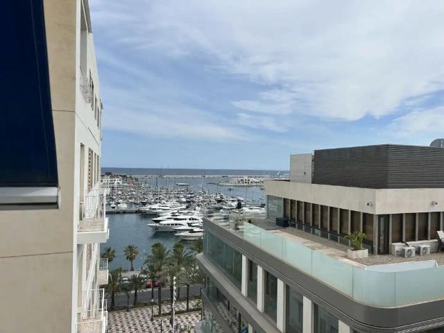 Alicante / Alacant