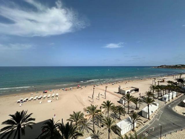 Alicante / Alacant
