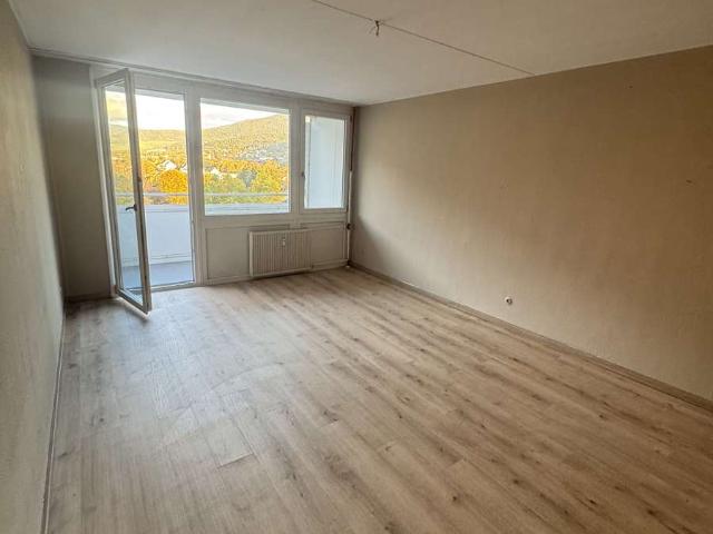 Alltagstaugliche 2 Zimmer Wohnung in Waldkirch