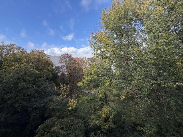 Alltagstaugliche 2 Zimmer Wohnung in zentraler Lage von Tiergarten