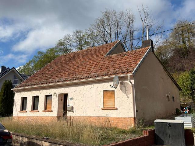 Alltagstaugliches Einfamilienhaus in Lebach