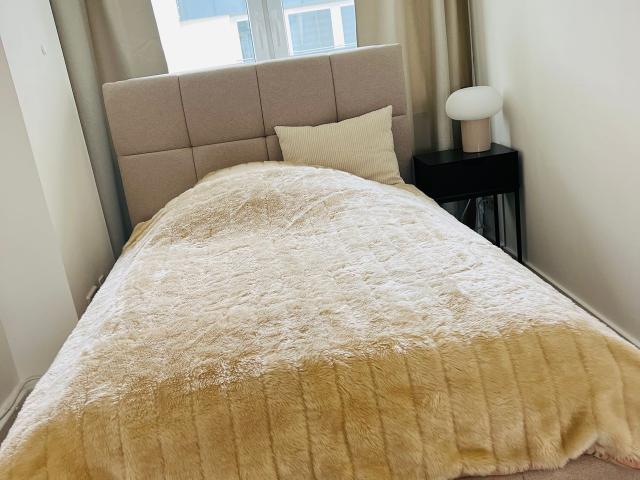All inclusive – Furnished apartment in the heart of Leipzig, Leipzig Amsterdam Apartments for Rent