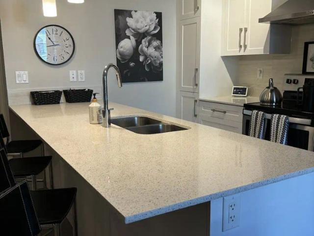 All Inclusive Furnished Luxury Condo — 1 Bedroom+ Den Condo Unit