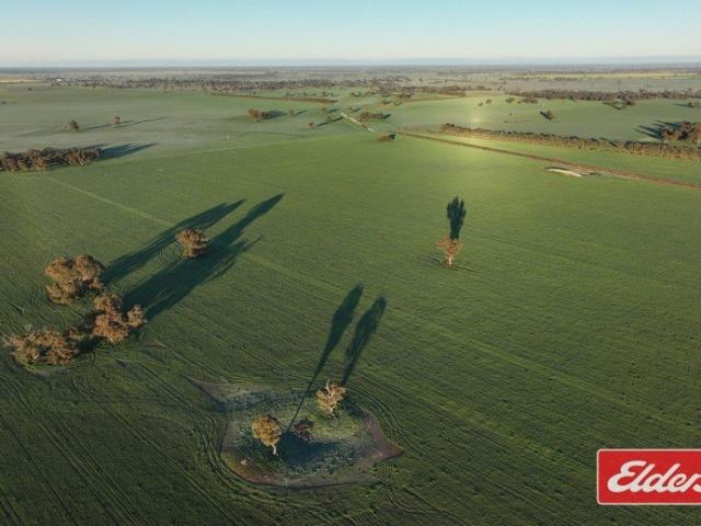 Allan Aggregation Part 492.8 Hectares 1,217.4 Acres Across Three Holdings
