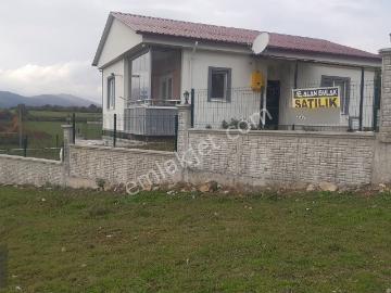 Atakum, Samsun ili, Karadeniz Bölgesi