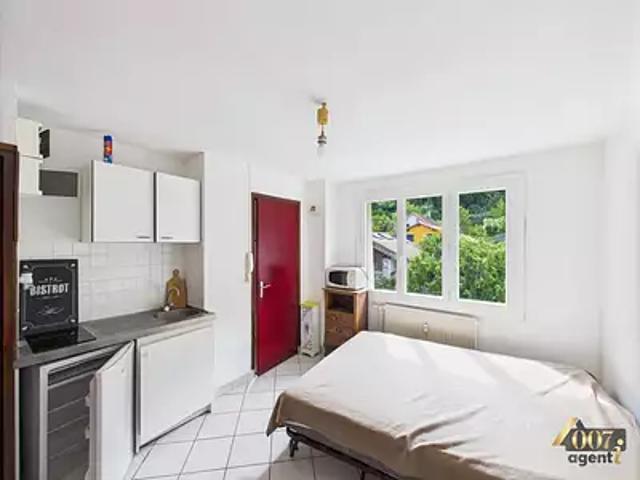 Allevard 38580 Location appartement 1 pièce t1 au dernier étage